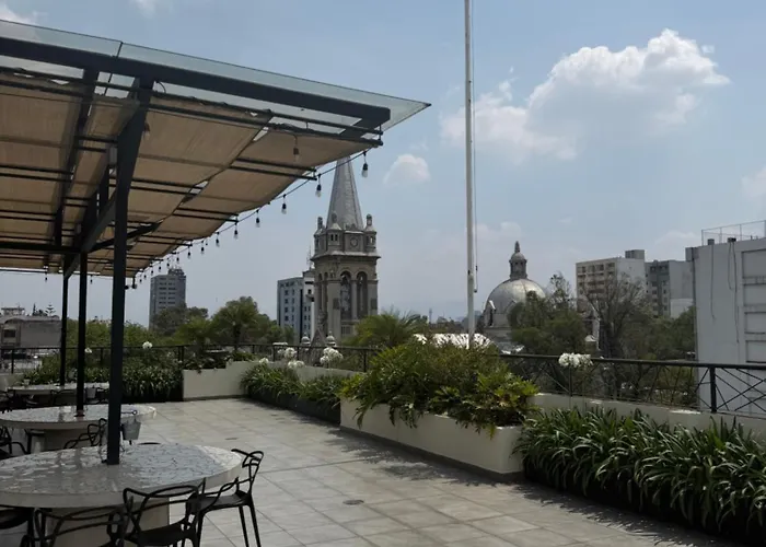 Zuma Colony Mexico City