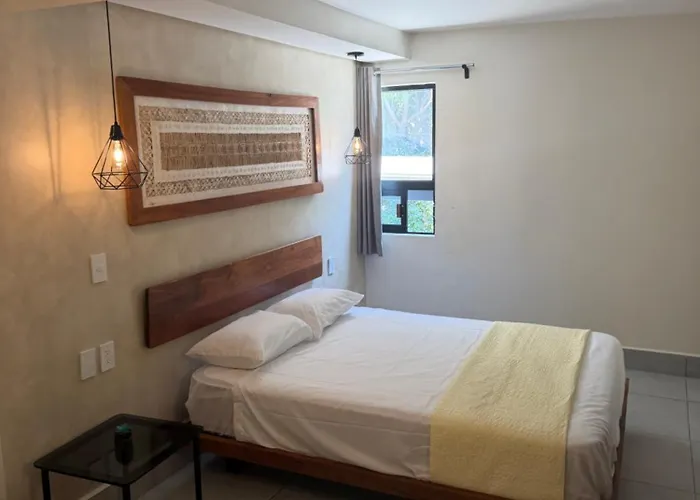 Zuma Colony Mexico City
