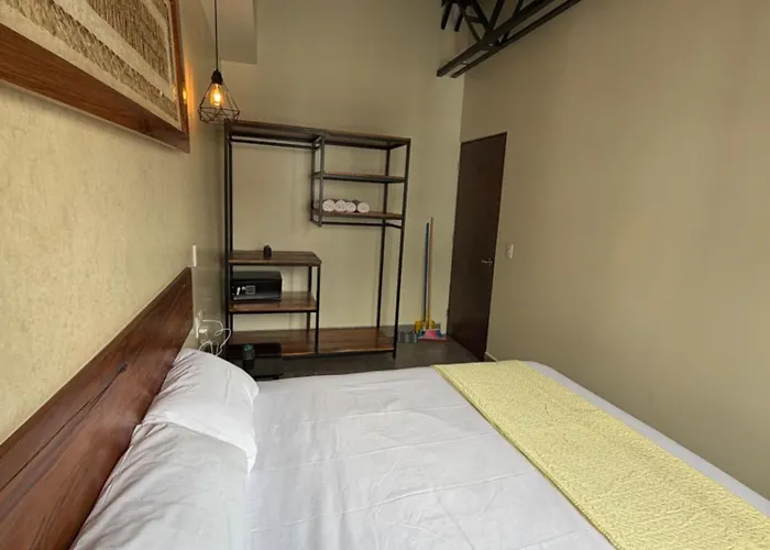Zuma Colony Mexico City