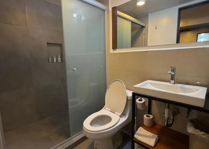 Zuma Colony Apartment Mexico City