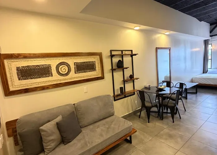 Zuma Colony Apartment Mexico City