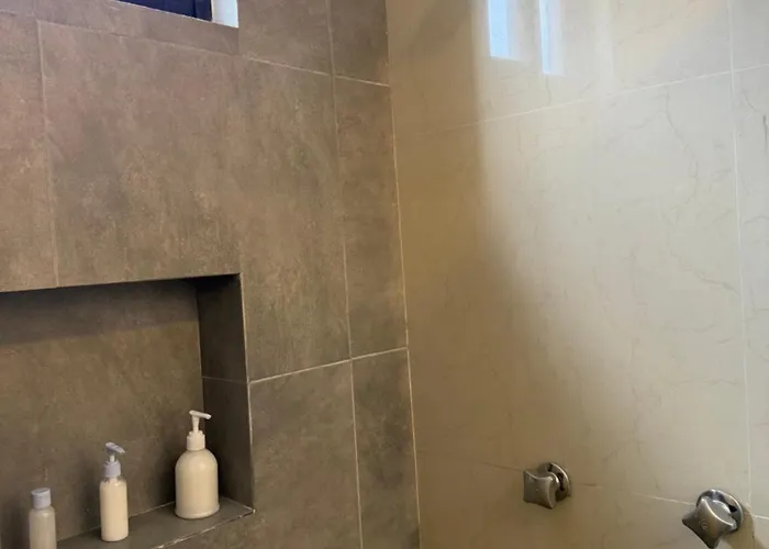 Zuma Colony Apartment Mexico City